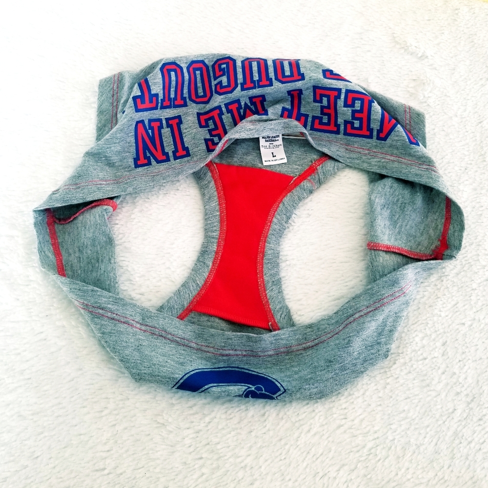 Victoria's Secret PINK Vintage Major League Baseball Chicago Cubs Hipster Panty - Picture 7 of 12